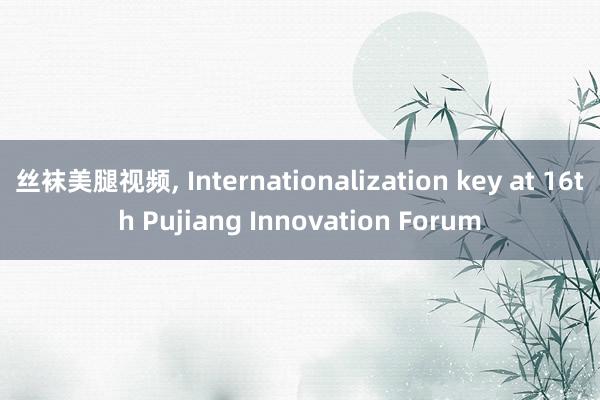 丝袜美腿视频, Internationalization key at 16th Pujiang Innovation Forum