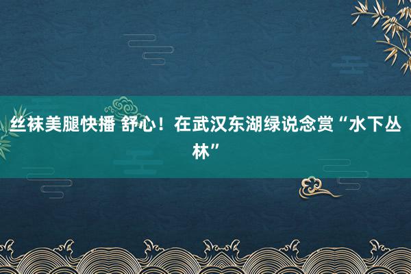 丝袜美腿快播 舒心！在武汉东湖绿说念赏“水下丛林”