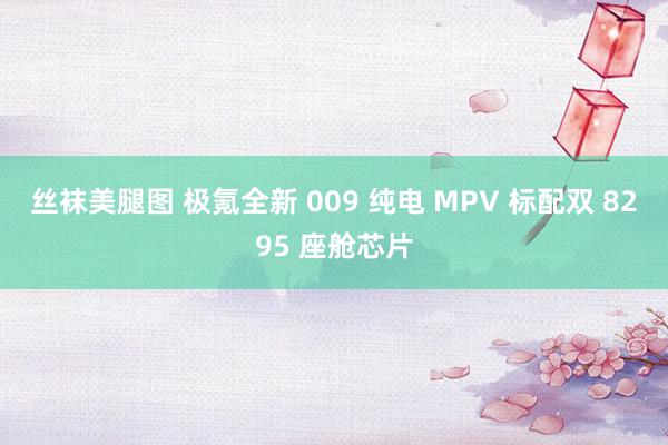 丝袜美腿图 极氪全新 009 纯电 MPV 标配双 8295 座舱芯片