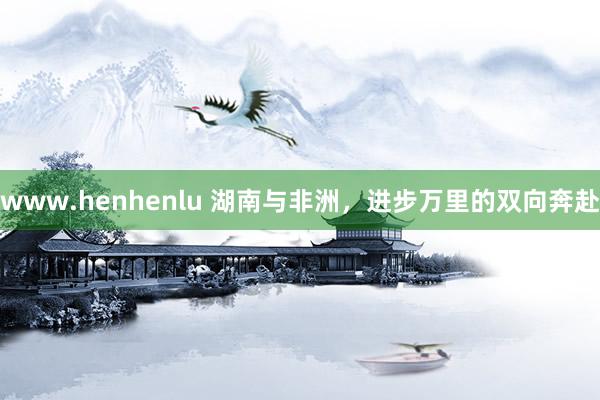 www.henhenlu 湖南与非洲，进步万里的双向奔赴