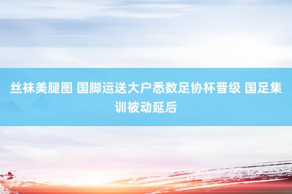 丝袜美腿图 国脚运送大户悉数足协杯晋级 国足集训被动延后