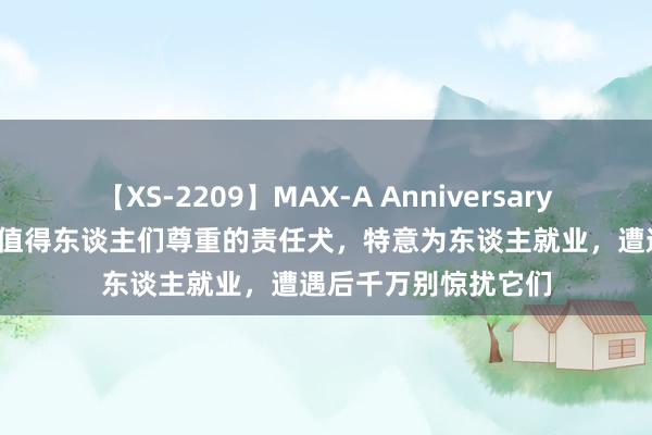 【XS-2209】MAX-A Anniversary 超永久保存版 五种值得东谈主们尊重的责任犬，特意为东谈主就业，遭遇后千万别惊扰它们