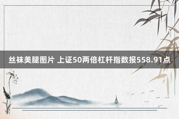 丝袜美腿图片 上证50两倍杠杆指数报558.91点