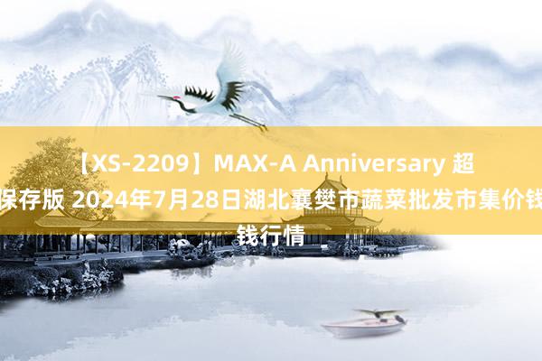 【XS-2209】MAX-A Anniversary 超永久保存版 2024年7月28日湖北襄樊市蔬菜批发市集价钱行情