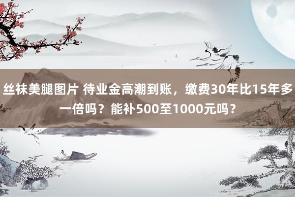 丝袜美腿图片 待业金高潮到账，缴费30年比15年多一倍吗？能补500至1000元吗？