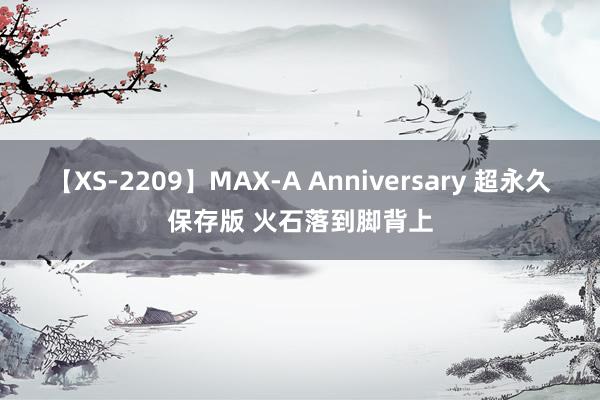 【XS-2209】MAX-A Anniversary 超永久保存版 火石落到脚背上