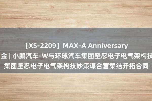 【XS-2209】MAX-A Anniversary 超永久保存版 港股公告掘金 | 小鹏汽车-W与环球汽车集团坚忍电子电气架构技妙策谋合营集结开拓合同