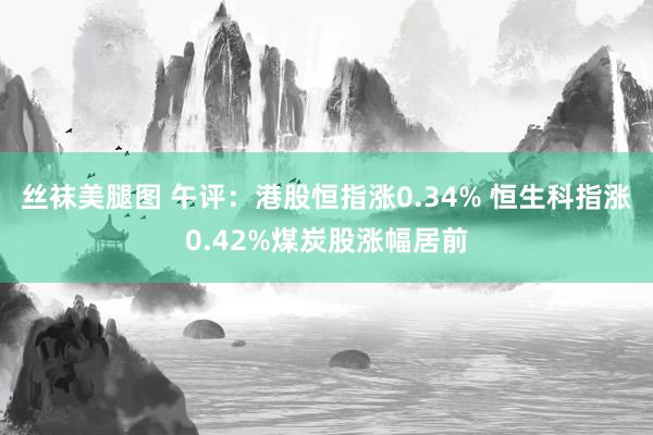 丝袜美腿图 午评：港股恒指涨0.34% 恒生科指涨0.42%煤炭股涨幅居前