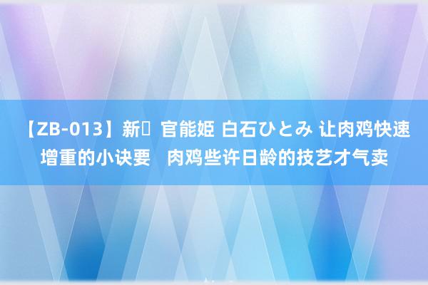 【ZB-013】新・官能姫 白石ひとみ 让肉鸡快速增重的小诀要   肉鸡些许日龄的技艺才气卖