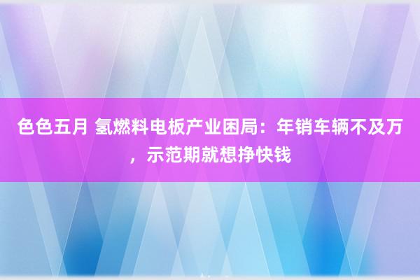 色色五月 氢燃料电板产业困局：年销车辆不及万，示范期就想挣快钱