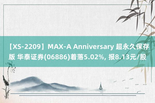 【XS-2209】MAX-A Anniversary 超永久保存版 华泰证券(06886)着落5.02%, 报8.13元/股