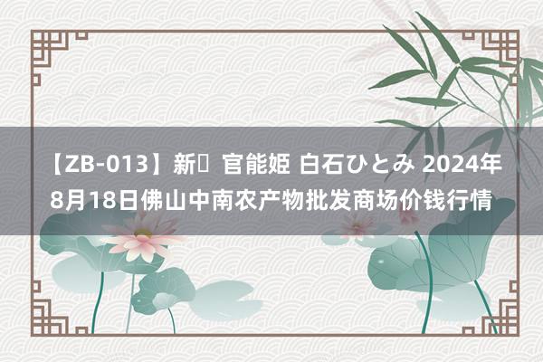 【ZB-013】新・官能姫 白石ひとみ 2024年8月18日佛山中南农产物批发商场价钱行情