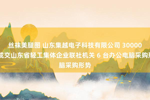 丝袜美腿图 山东集越电子科技有限公司 30000 元成交山东省轻工集体企业联社机关 6 台办公电脑采购形势