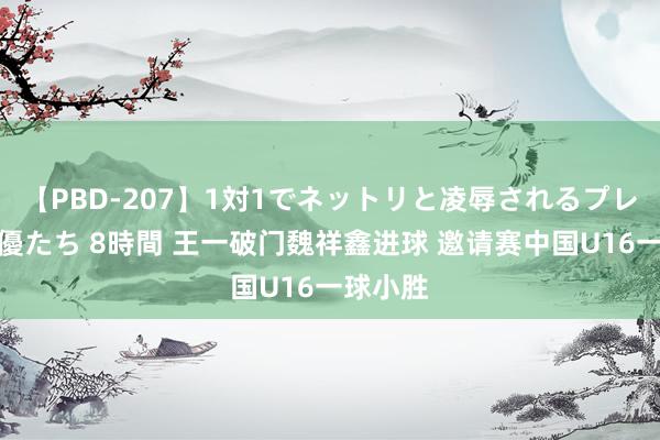 【PBD-207】1対1でネットリと凌辱されるプレミア女優たち 8時間 王一破门魏祥鑫进球 邀请赛中国U16一球小胜