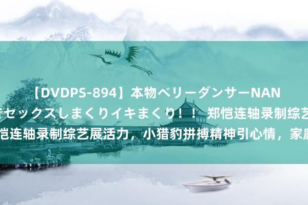 【DVDPS-894】本物ベリーダンサーNANA第2弾 悦楽の腰使いでセックスしまくりイキまくり！！ 郑恺连轴录制综艺展活力，小猎豹拼搏精神引心情，家庭能源显无疑