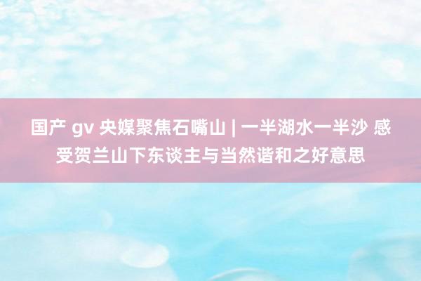 国产 gv 央媒聚焦石嘴山 | 一半湖水一半沙 感受贺兰山下东谈主与当然谐和之好意思