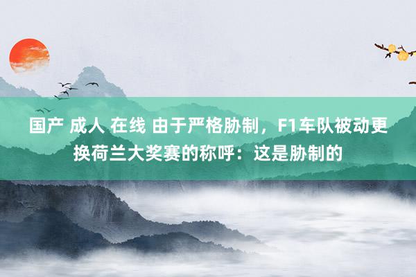 国产 成人 在线 由于严格胁制，F1车队被动更换荷兰大奖赛的称呼：这是胁制的