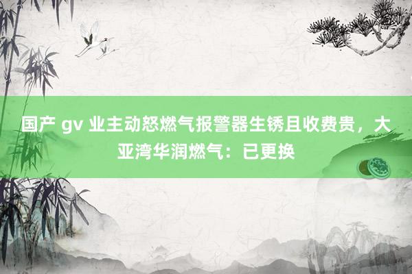 国产 gv 业主动怒燃气报警器生锈且收费贵，大亚湾华润燃气：已更换