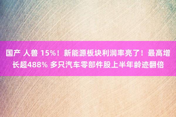 国产 人兽 15%！新能源板块利润率亮了！最高增长超488% 多只汽车零部件股上半年龄迹翻倍