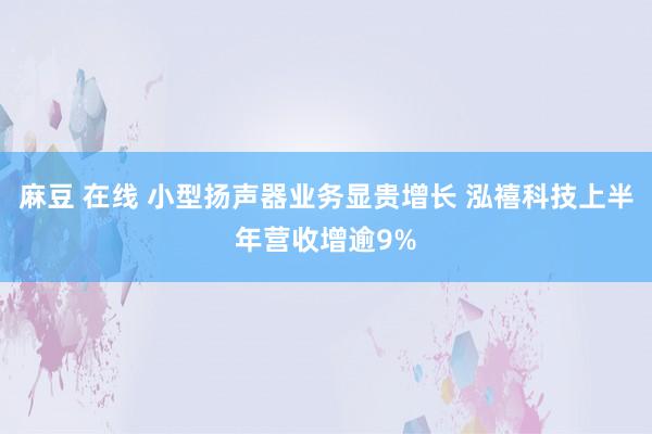 麻豆 在线 小型扬声器业务显贵增长 泓禧科技上半年营收增逾9%