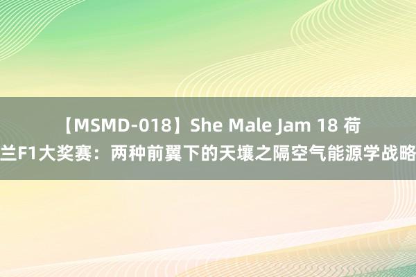 【MSMD-018】She Male Jam 18 荷兰F1大奖赛：两种前翼下的天壤之隔空气能源学战略